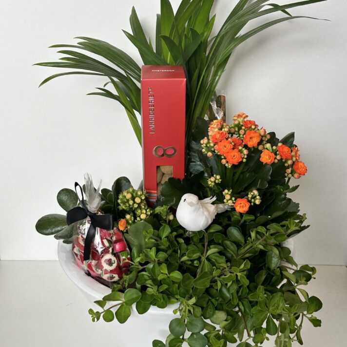 Samanplantningur
