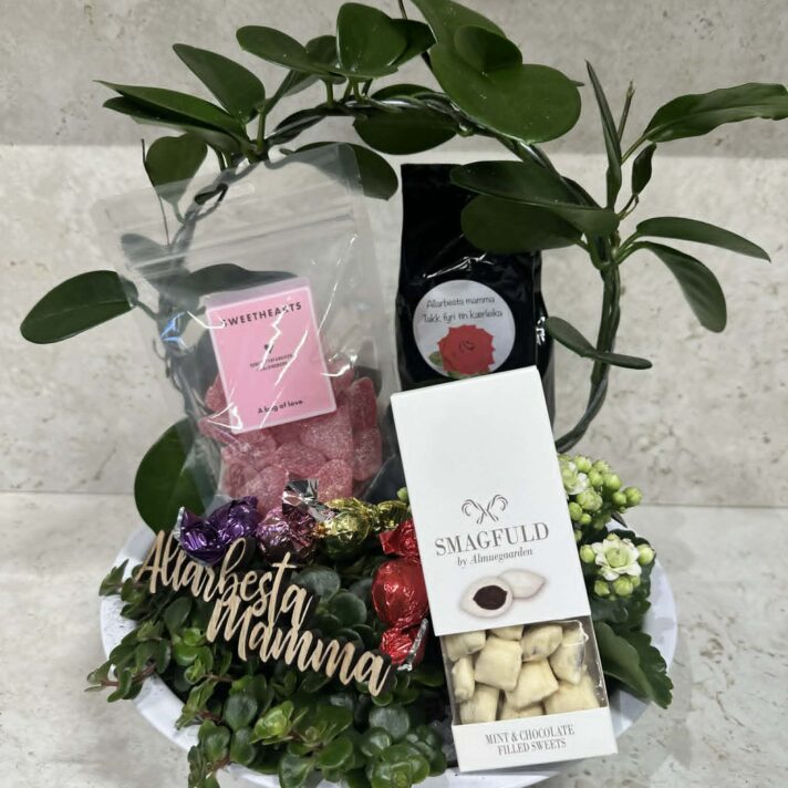 Allarbesta mamma samanplanting við góðgæti og kaffi