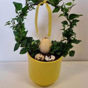 Páska samanplanting - Image 3