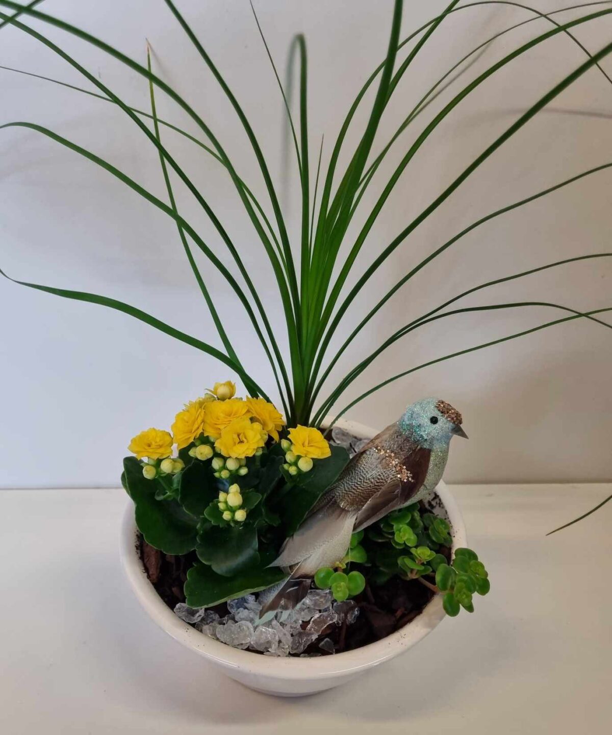 Samanplanting v/fugli