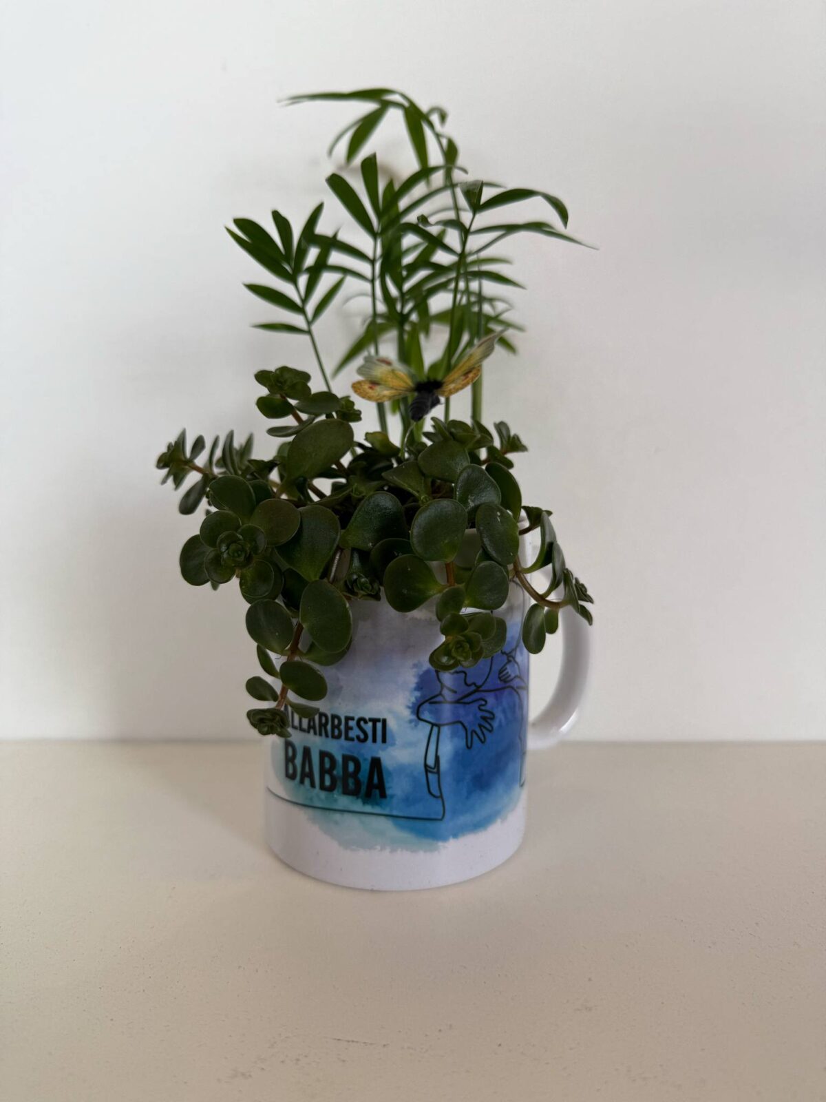 Pápa krúss við plantu