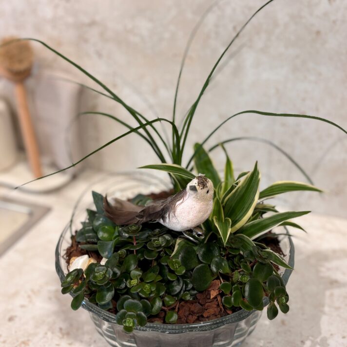 Samanplanting við fugli