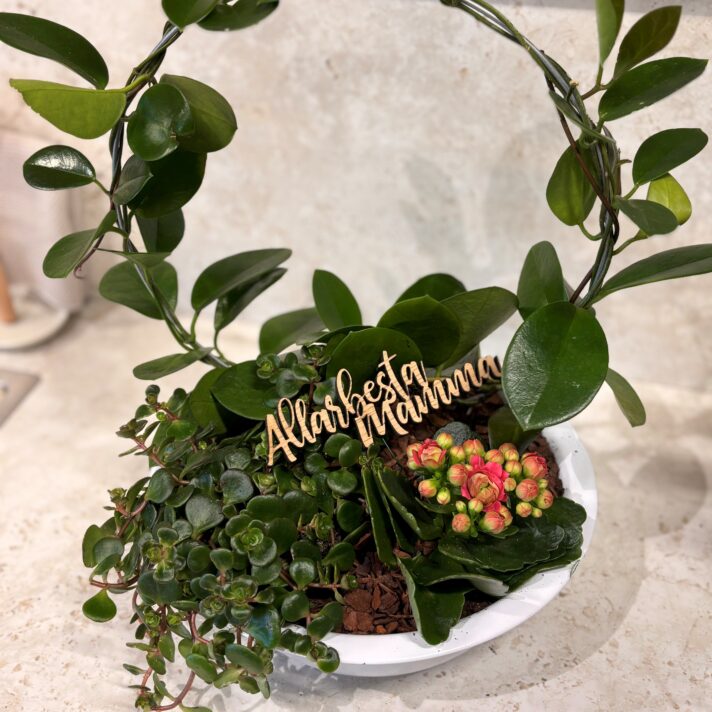 Samanplanting Allarbest mamma