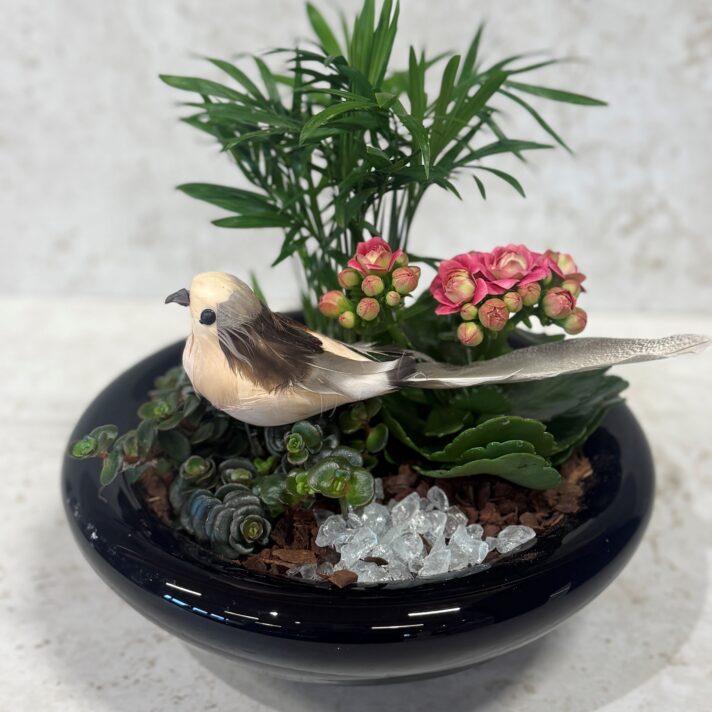 Samanplanting við fugli