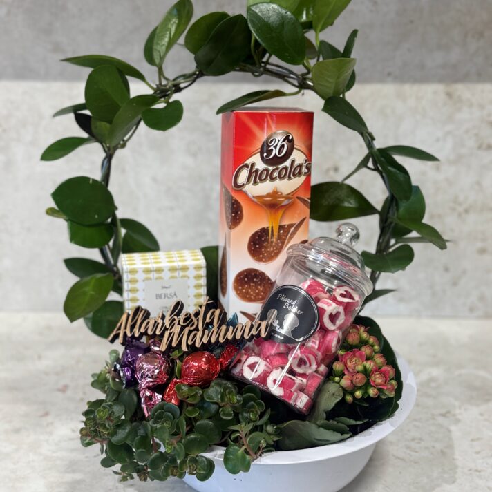 Allarbesta mamma samanplanting við góðgæti