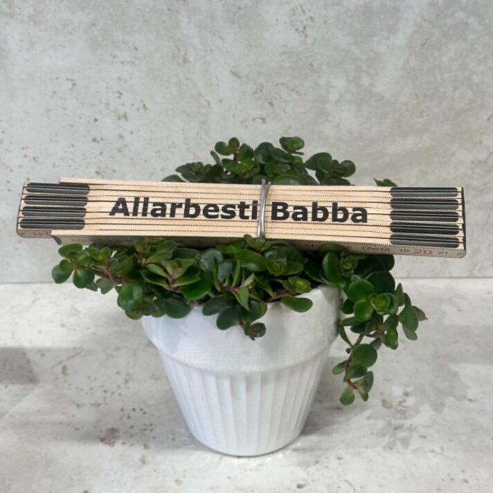 Allarbesti babba urtapottur við tummastokki