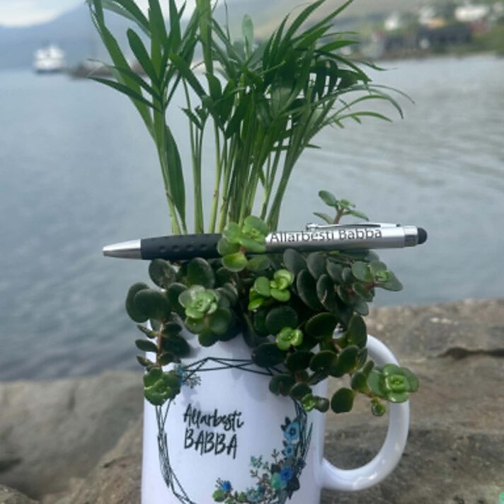 Allarbesti babba krúss við samanplanting og penni