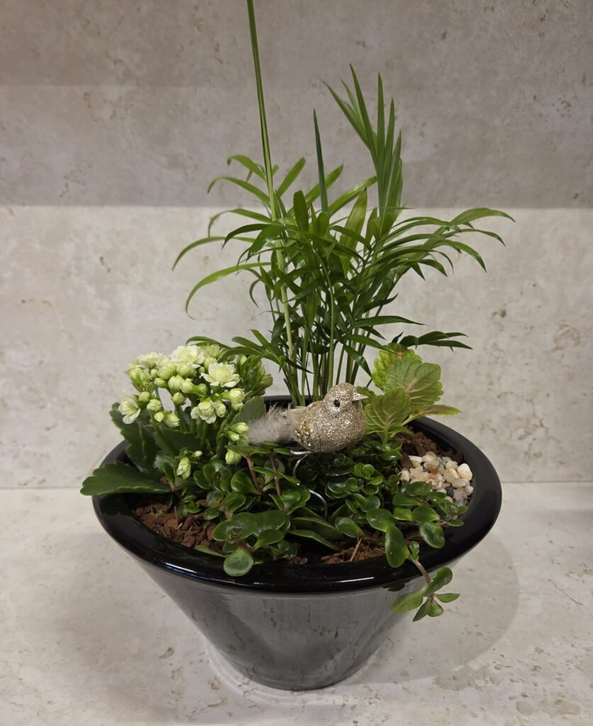 Samanplantningar